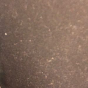 Meet your Posher, Mia